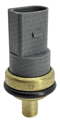 Plug eletrico polo 2002